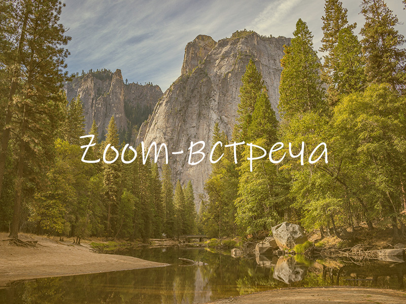 Коллективная Zoom-встреча